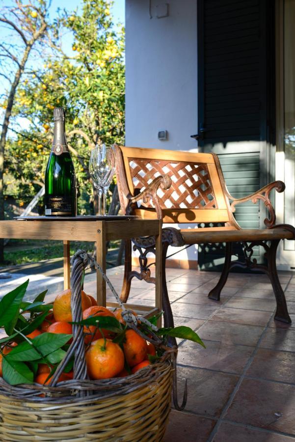Agriturismo Piccolo Canyon Daire Piano di Sorrento Dış mekan fotoğraf