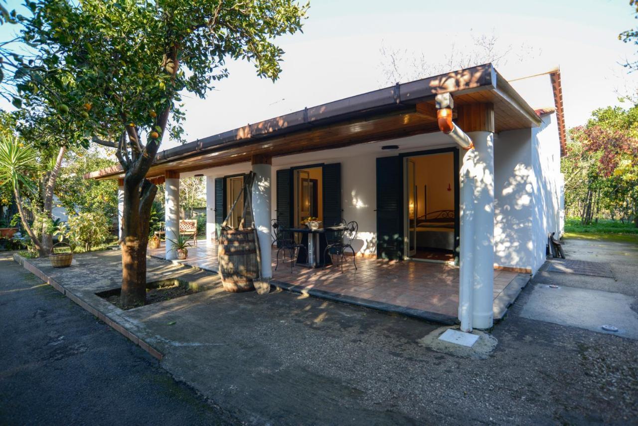 Agriturismo Piccolo Canyon Daire Piano di Sorrento Dış mekan fotoğraf